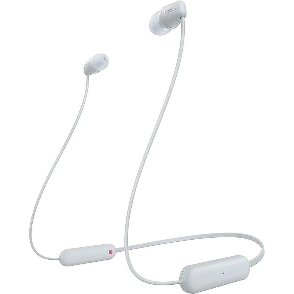 Sony WIC100/B